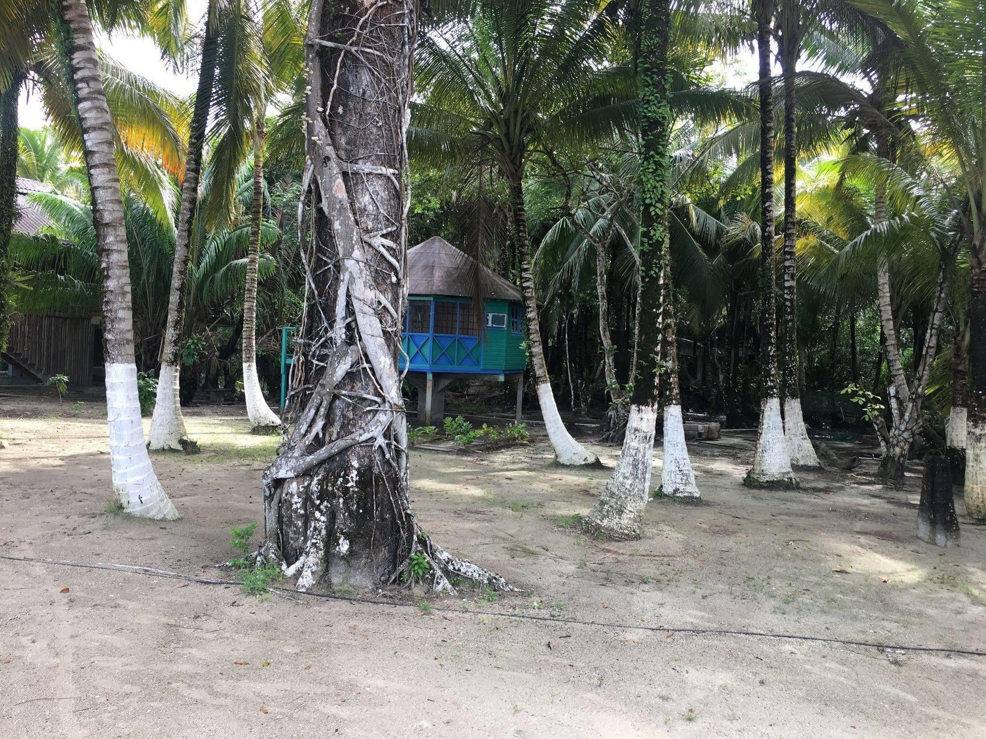 Buccaneer Resort Carenero Exterior photo
